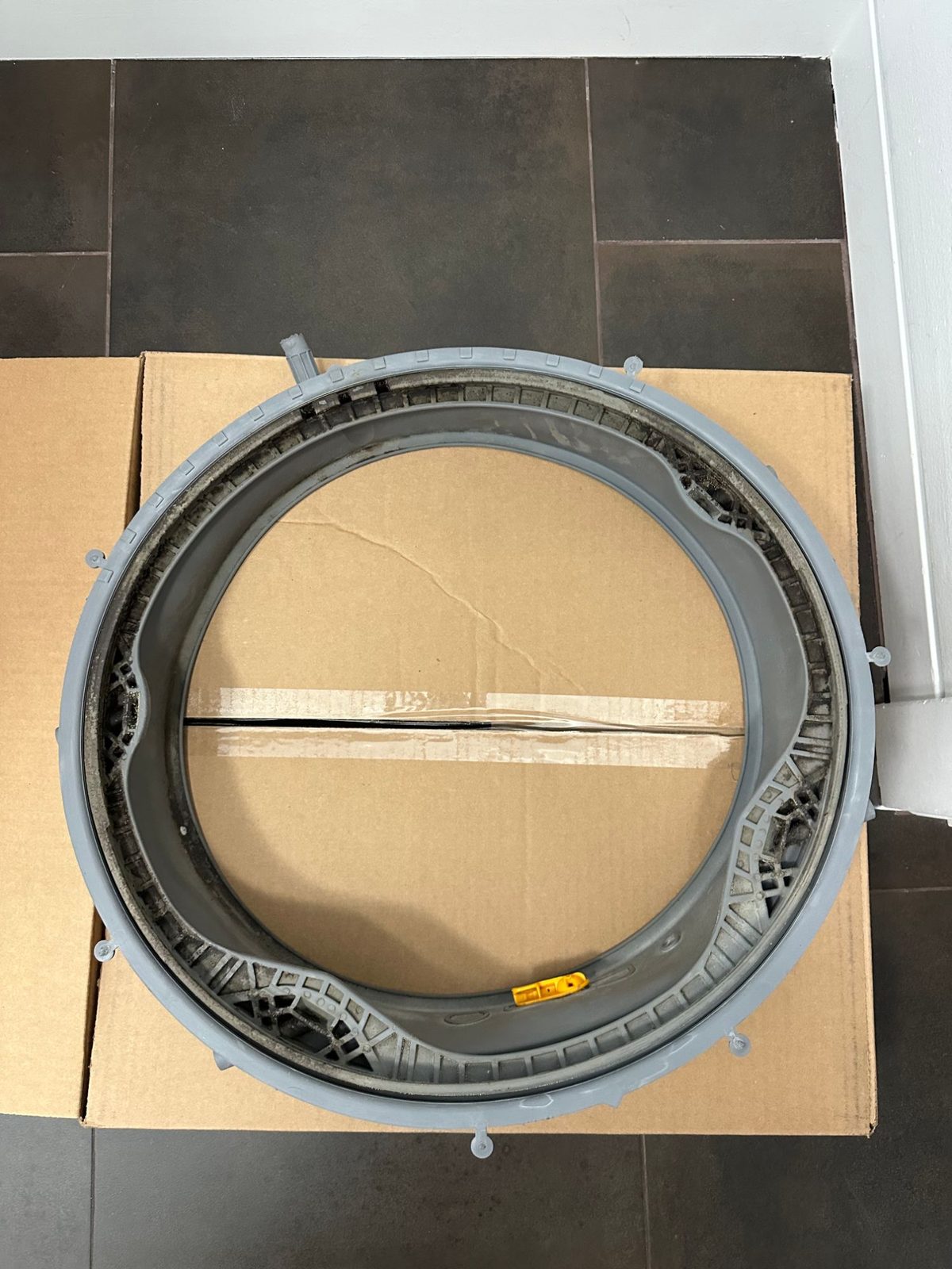 Old LG washer door boot gasket removed and laid on a box, with black mold built up in the folds and ribs
