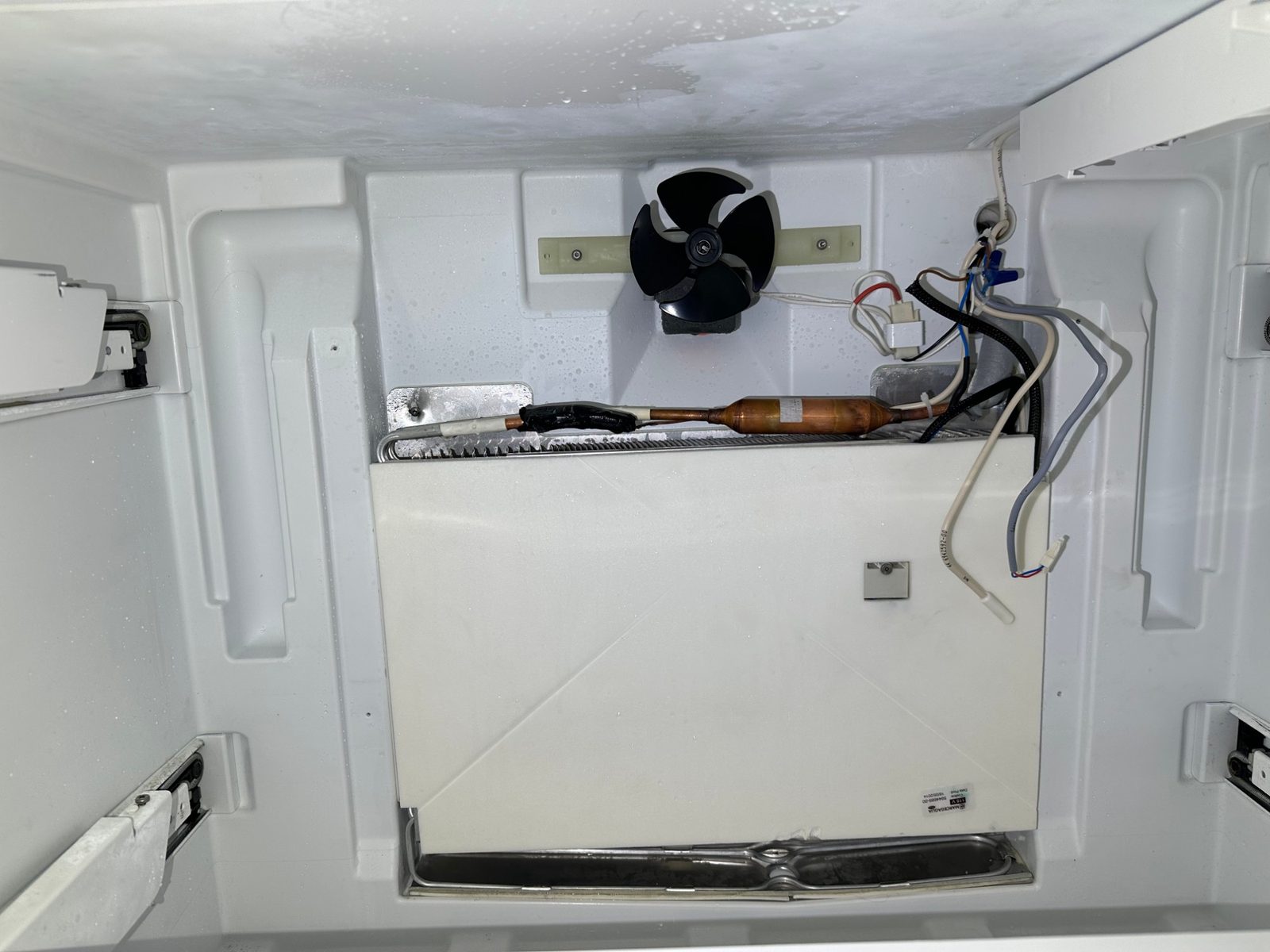 Liebherr CS 2060 freezer evaporator area with the fan, refrigerant lines, and sensor wiring exposed